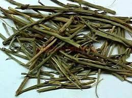 فروش گیاه افدرا