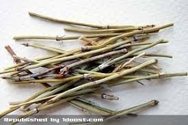 بهترین گیاه افدرا ایرانی