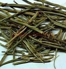 قیمت عمده گیاه افدرا