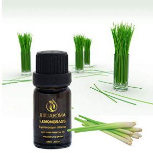 قیمت خرید روغن گیاه افدرا