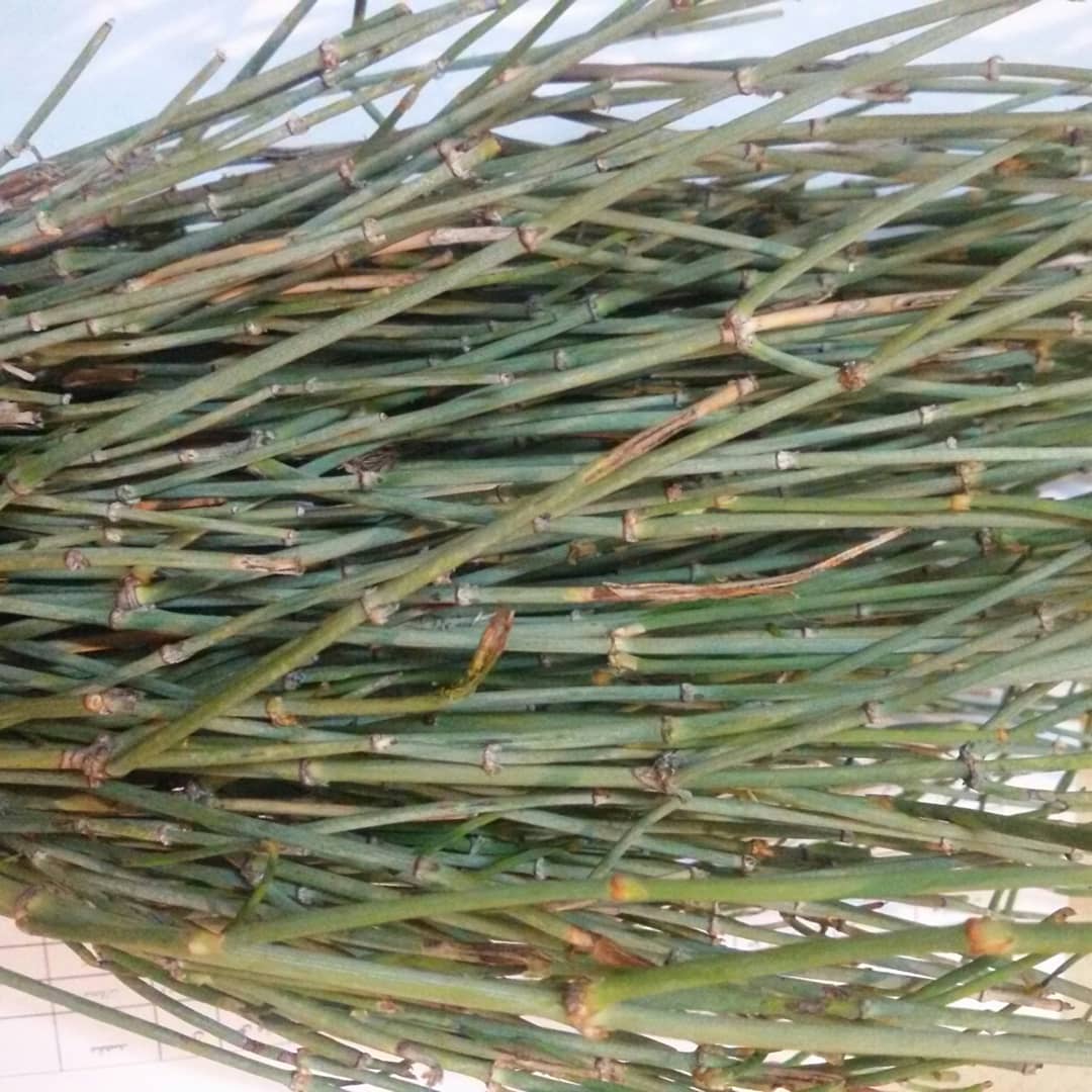 گیاه افدرا به صورت عمده